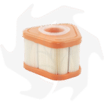 Filtro aria per Briggs & Stratton serie 800