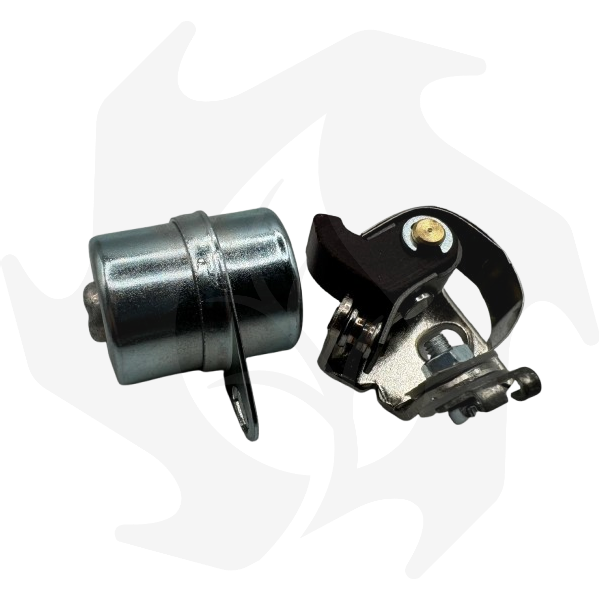 Immagine_WhatsApp_2024-12-27_ore_12.33.18_a1054713-removebg-preview Kit puntine platinate + condensatore per motori Minarelli 150 – 180 - immagine 1