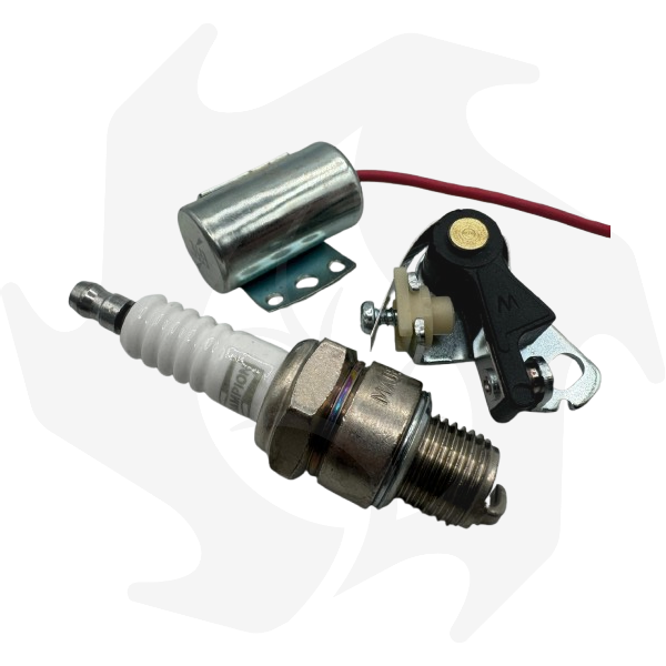 Immagine_WhatsApp_2024-12-27_ore_14.27.46_049d0f17-removebg-preview Kit puntine platinate, condensatore e candela per motore ACME AL215-290-330 - immagine 1