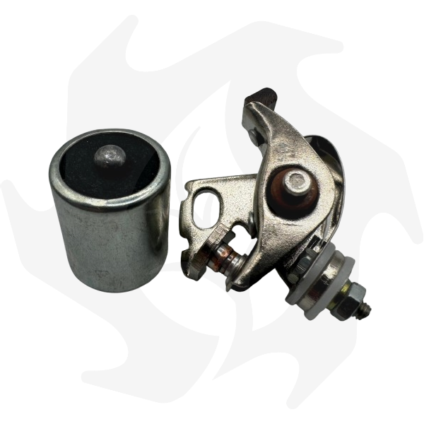 Immagine_WhatsApp_2024-12-27_ore_14.35.07_7985b246-removebg-preview Kit puntine + condensatore per motore JLO 101 – 152 - immagine 1