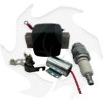 Kit puntine, condensatore, candela e bobina per Acme AL480 - VT88 - FE82 - immagine 3