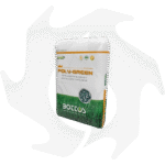 Poly Green Bottos – 25Kg Concime professionale per prato di tipo equilibrato ed universale