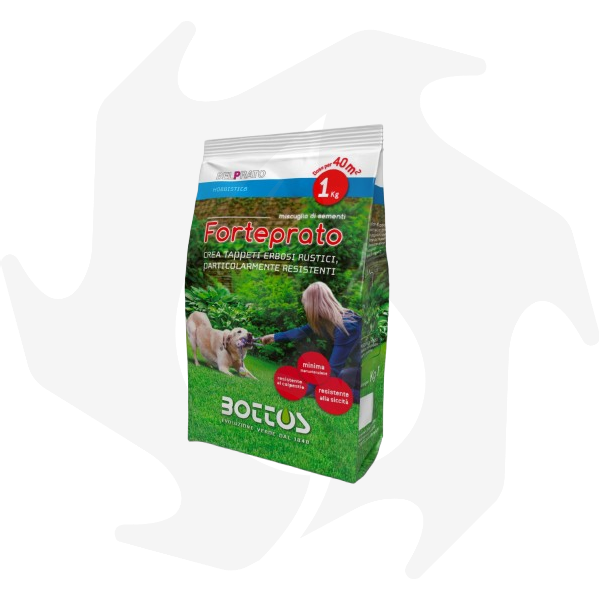 Immagine_WhatsApp_2025-01-15_ore_09.33.17_7da23ab4-removebg-preview Forteprato Bottos – 1Kg Sementi per prato rustico e domestico resistente al calpestio e a bassa manutenzione - immagine 1