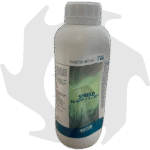 Shield Bottos – 1kg Resistenza alle malattie fungine del prato a base di Ferro e Rame - immagine 3