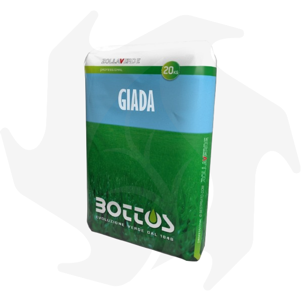 Immagine_WhatsApp_2025-01-15_ore_12.17.28_c3167750-removebg-preview Giada Bottos – 20Kg Sementi evolute per prato ombreggiato - immagine 1