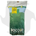 Olimpia Bottos – 5Kg Sementi evolute per prato resistente a bassa manutenzione anche in mezz’ombra