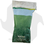 Olimpia Bottos – 5Kg Sementi evolute per prato resistente a bassa manutenzione anche in mezz’ombra - immagine 3