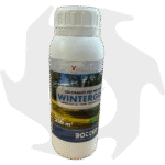 Wintergreen Bottos – 500 ml Colorante per prato di macroterme in dormienza