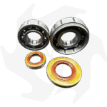 Set cuscinetti albero motore e anelli di tenuta per Stihl 024