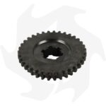 Ingranaggio doppio cambio per Goldoni super special