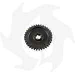 Ingranaggio riduzione per Goldoni super special