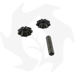 Kit X2 Coppia satellite differenziale Z:9 + albero perno per Goldoni super special