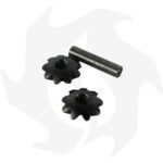 Kit X2 Coppia satellite differenziale Z:9 + albero perno per Goldoni super special - immagine 4