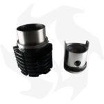 Kit cilindro pistone e segmenti per motore Ruggerini CRD 100-951 / RP170-RP320