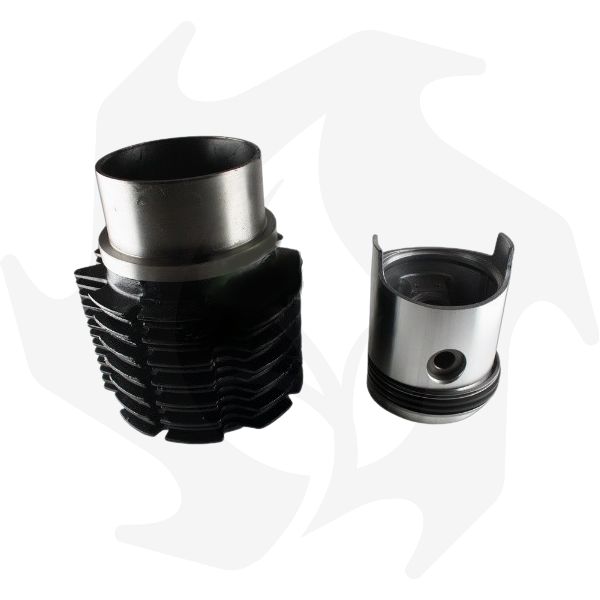 Kit cilindro pistone e segmenti per motore Ruggerini CRD 100-951 RP170-RP320 (2) Kit cilindro pistone e segmenti per motore Ruggerini CRD 100-951 / RP170-RP320 - immagine 1