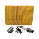 Kit completo puntine platinate, condensatore candela e filtro dell’aria per motore ACME AL215-290-330