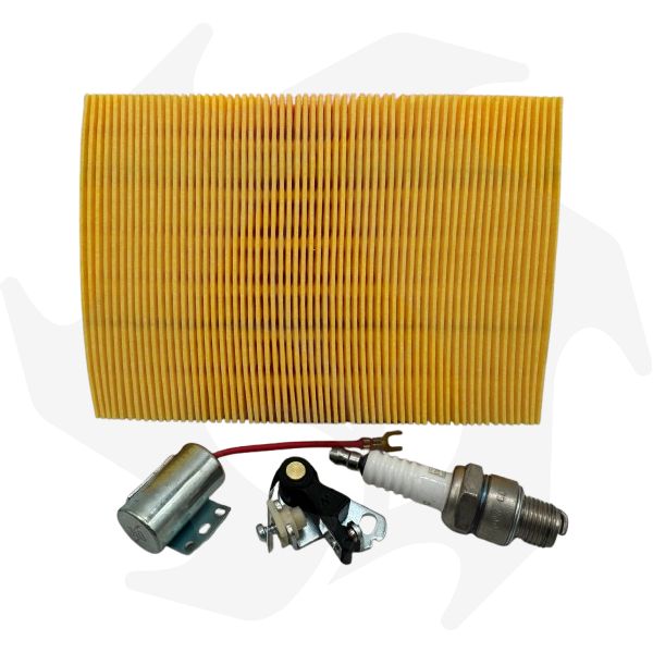 Kit completo puntine platinate, condensatore candela e filtro dell’aria per motore ACME AL215-290-330 (1) Kit completo puntine platinate, condensatore candela e filtro dell’aria per motore ACME AL215-290-330 - immagine 1