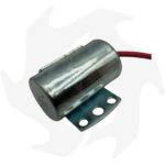 Kit completo puntine platinate, condensatore candela e filtro dell’aria per motore ACME AL215-290-330 - immagine 3
