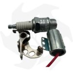 Kit puntine + condensatore e candela Champion D16  per motore Acme AL480/VT88/FE82 - immagine 2