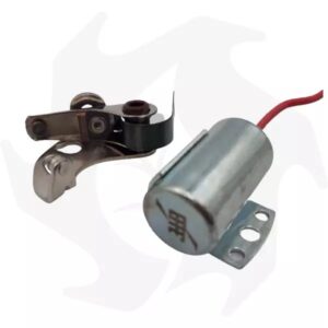 Kit puntine platinate + condensatore per motori ACME
