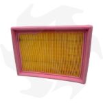 Kit puntine+condensatore+candela e filtro aria per motore Intermotor IM250 – IM300 – IM350 - immagine 3