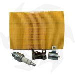 Kit puntine+condensatore+candela e filtro aria per motore Intermotor IM250 – IM300 – IM350 - immagine 4