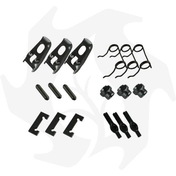 Kit revisione frizione ad. Goldoni export Nibbi Ferrari (1) Kit revisione frizione ad. Goldoni export Nibbi Ferrari - immagine 1