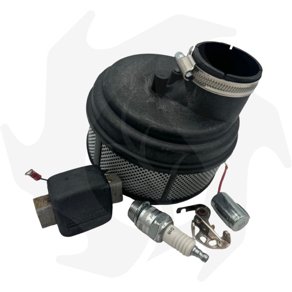 Kit tagliando per motore Acme AL290 - VT88 (1) Kit tagliando per motore Acme AL290 - VT88 - immagine 1