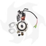 Kit trasformazione alimentazione da benzina a gas per motore Honda GX270-390-420