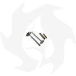 Kit valvole aspirazione e scarico e guida valvole per motori Lombardini LDA450 LDA510 3LD510