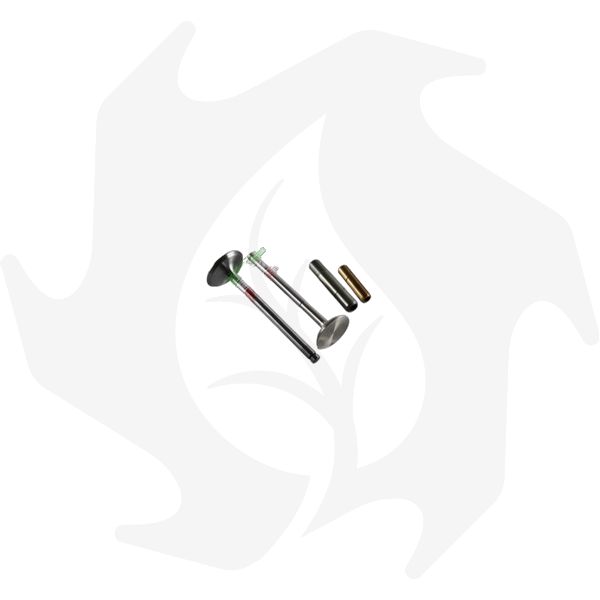 Kit valvole aspirazione e scarico e guida valvole per motori Lombardini LDA450 LDA510 3LD510 (2) Kit valvole aspirazione e scarico e guida valvole per motori Lombardini LDA450 LDA510 3LD510 - immagine 1