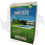 Maciste Bottos – 1Kg Sementi per tappeto erboso - immagine 4