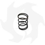 Molla frizione per Goldoni Mondial