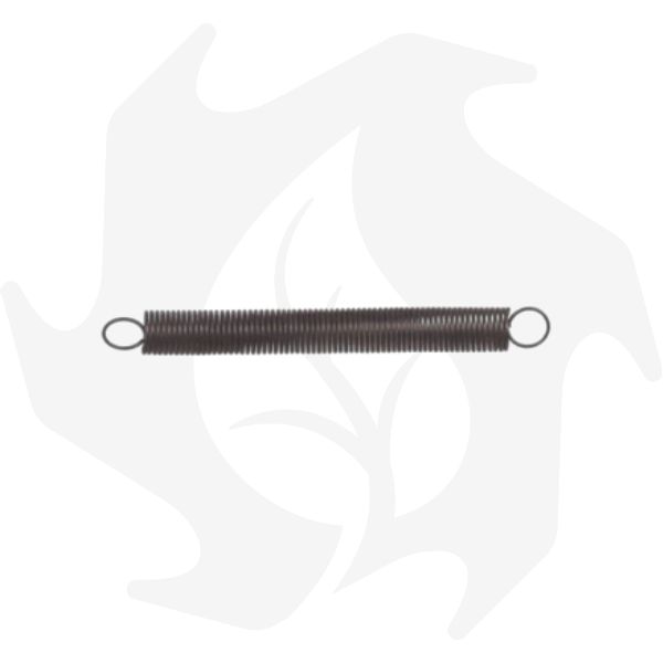 Molla regolatore Briggs & Stratton per tagliaerba con motori 3 – 3.5 – 4HP - immagine 1