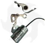 Puntine e condensatore per motore Marelli LA80 con magnete MCR - immagine 3