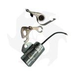 Puntine e condensatore per motore Marelli LA80 con magnete MCR