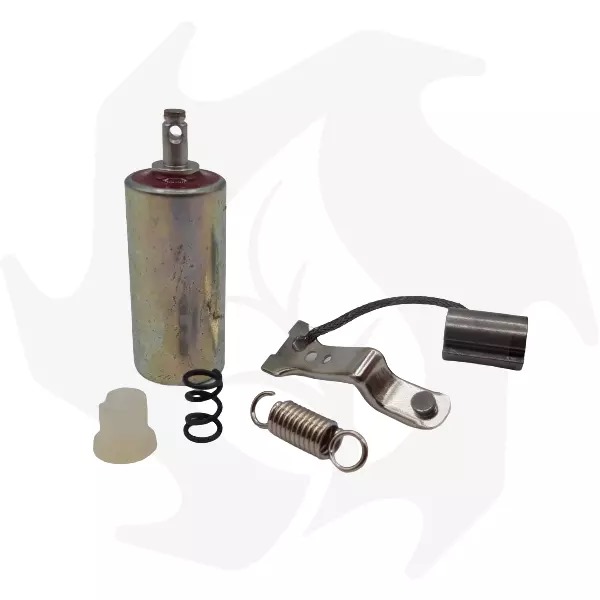 Puntine platinate e condensatore per motore BRIGGS & STRATTON (1) Puntine platinate e condensatore per motore BRIGGS & STRATTON - immagine 1