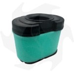 Filtro aria cod. 792105 per motore Briggs&Stratton 16-27HP bicilindrico