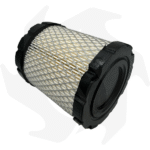Filtro aria per motore Briggs & Stratton serie 44P977 49M977