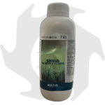 Shield Bottos – 1kg Resistenza alle malattie fungine del prato a base di Ferro e Rame