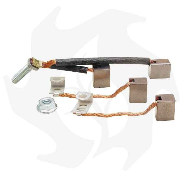 Spazzole per motorino avviamento BRIGGS & STRATTON 497608 Spazzole per motorino avviamento BRIGGS & STRATTON 497608 - immagine 1