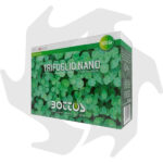 Trifoglio Nano Bottos – 500 g Sementi tappezzanti di trifoglio nano per prato a bassa manutenzione