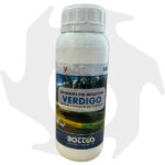Verdigo Bottos – 500 ml Colorante per prato di microterme