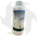Water Plus Bottos – 1 Kg Agente surfattante ed umettante per tappeti erbosi - immagine 3