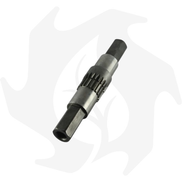 Albero asse porta Fresa ad. GRIFO 22 TIPO CORTO ESAGONO 27 (1) Albero asse porta Fresa adattabile a GRIFO 22 TIPO CORTO ESAGONO 27 - immagine 1