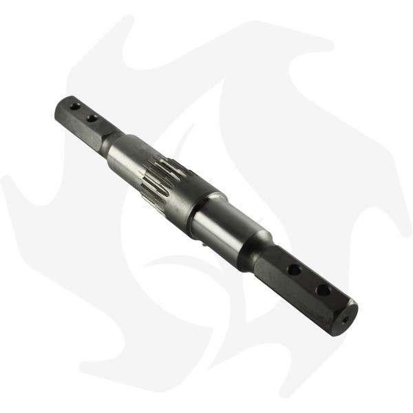 Albero asse porta fresa ESAGONALE adattabile a SEP 125 ESAGONO 27 (2) Albero asse porta fresa ESAGONALE adattabile a SEP 125 ESAGONO 27 - immagine 1