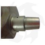 Albero motore per Lombardini LDA672 - immagine 6