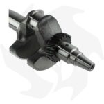 Albero motore per motore Lombardini 15LD315 – 15LD350 - immagine 4