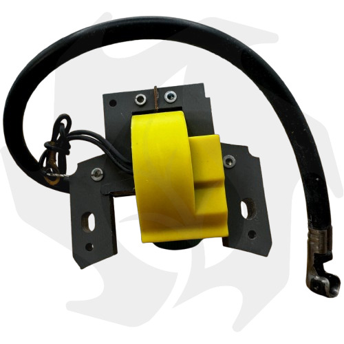 Bobina accensione elettronica per motori Briggs & Stratton 298316 vecchio modello (1) Bobina accensione elettronica per motori Briggs & Stratton - immagine 1