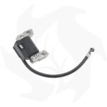 Bobina accensione per motori Briggs & Stratton DOV 750 per trattorino rasaerba - immagine 2